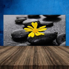 Küchenrückwand aus glas esg - glas,