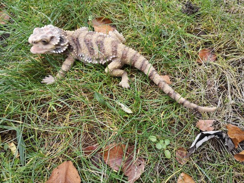 Gartenfigur dekofigur - gartenfigur,