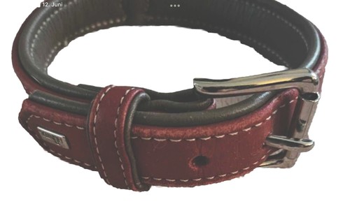 Neuwertiges rotes hunter - rotes,