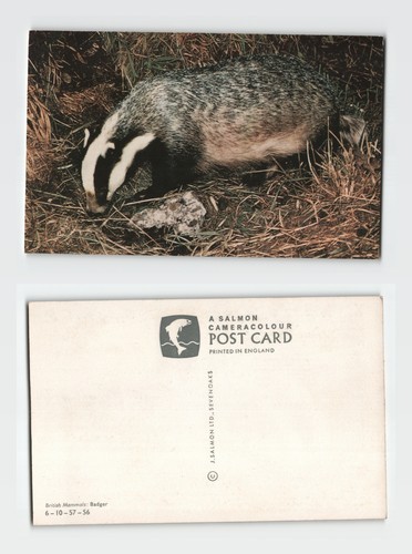Postkarte britischer - -,