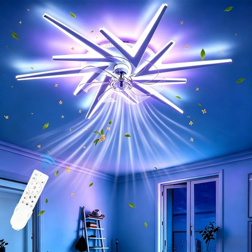 Deckenventilator mit