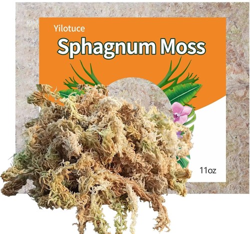 Sphagnum moos 310g - sphagnum,