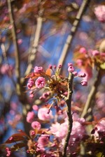 Helios-44-2 58mm f/2 - M42