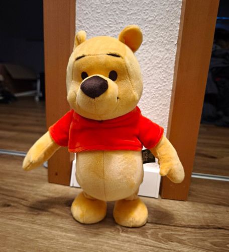 Disney winnie the - the, pooh