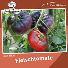Tomatensamen Black Beauty für ca. 10 Pflanzen - platzfeste Fleischtomate