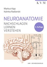 Markus Kipp Neuroanatomie