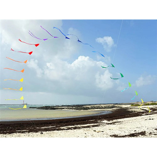 Einleiner drachen spiderkites - einleiner,