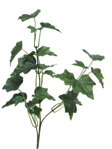 Artplants dekozweig efeu - artplants,