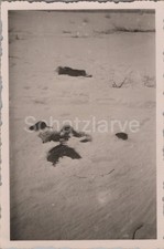 Foto, Wolchow Kessel, Russen