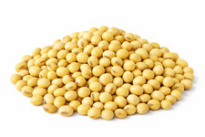 Getrocknete Sojabohnen Soja