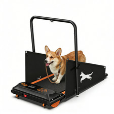 2 in 1 Dog Treadmill for Small