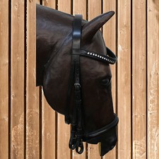 Busse kandare strass - kandare,
