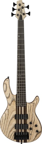 Exotischer saiter bass - e-bass, von