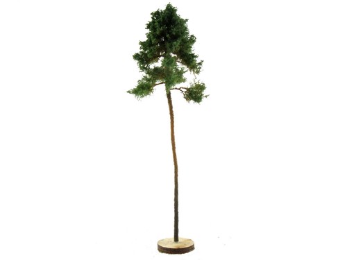 Hünerbein natur baum som1 - hünerbein,