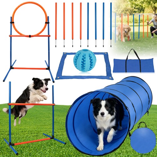 Agility set für hunde - hunde,