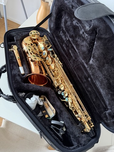 Alt saxophon mit zubehör - alt,
