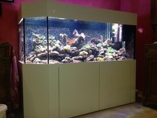 Meerwasser Aquarium , komplette Kombination, ca. 1000 Liter !