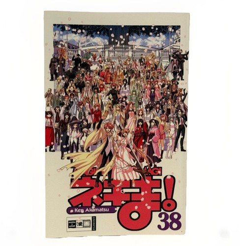 Magister negi magi - magister, 38