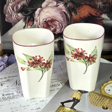 2xVilleroy&Boch Vivo Botanic