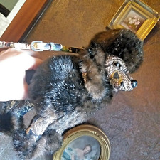 Luxus Handtasche Königspudel