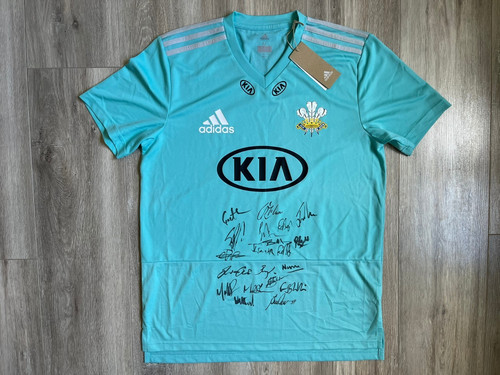 Surrey county cricket club - surrey,