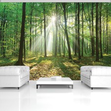 Fototapete XXL Wald 3D Baum
