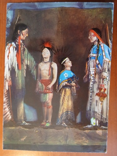 Postkarte 3134 gelaufen - 3134,