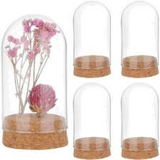 Glasglocke Glasvitrine Kuppel