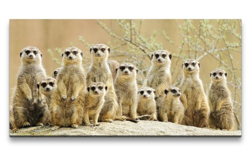120x60cm leinwandbild - 120x60cm,