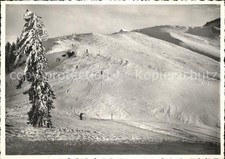 Tanzboden panorama - tanzboden,
