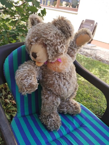 Steiff toller alter zotty der - steiff, zotty,