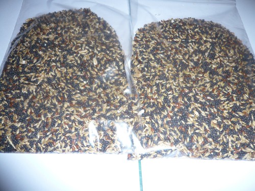 800 8 kg kanarienfutter - /,