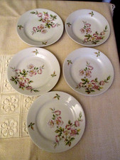 5 DDR Kahla Kuchenteller mit