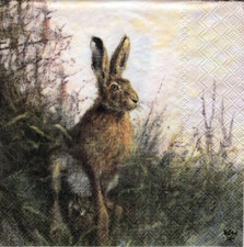 Servietten wilde tiere - servietten, ~