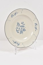 Villeroy und Boch Teller Suppenteller Beilagenteller Dekor Val Bleu Vitro Porzel