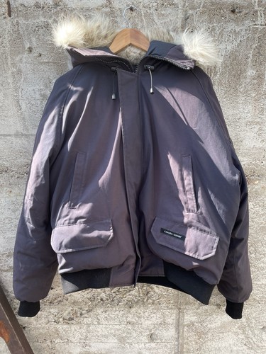 Canada goose chilliwack - canada,