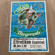 Circus Fliegenpilz, Zirkus