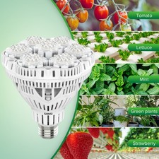 36W Grow LED Pflanzenlampe