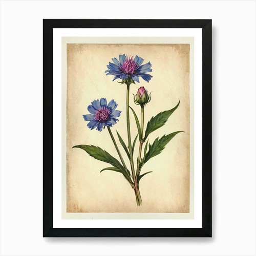 Vintage von herbarium - vintage,