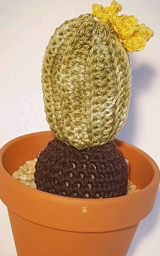 Gehäkelter kaktus amigurumi - kaktus,,