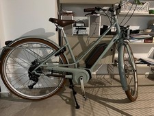Elektrofahrrad Diamond Plus