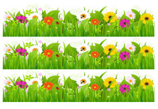 Blumen Gras Wiese Tortenband