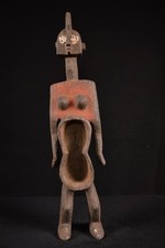 Afrikanische Grosse Koro