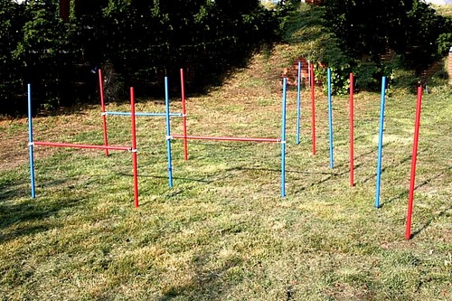 Agility übungs set blau - in,