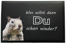 Fußmatte Schmutzfangmatte rutschfest Du schon wieder F053