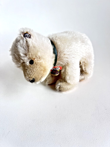Steiff eisbär 1312 - steiff, kopf