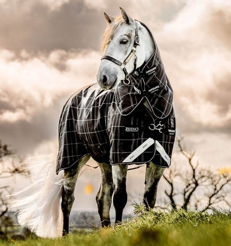 Horseware rhino pony - rhino,