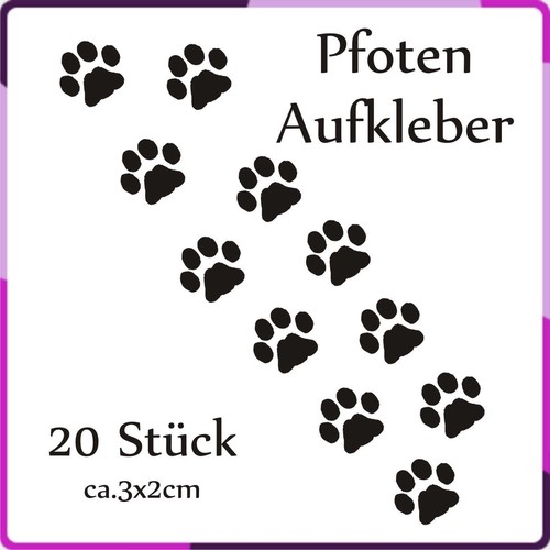 Tier pfoten hundepfoten - tier,