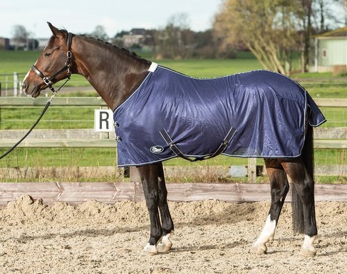 Harry horse fliegendecke - harry´s,