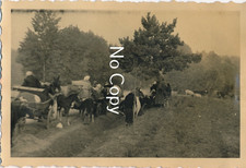 Military Photo WW2: Polen